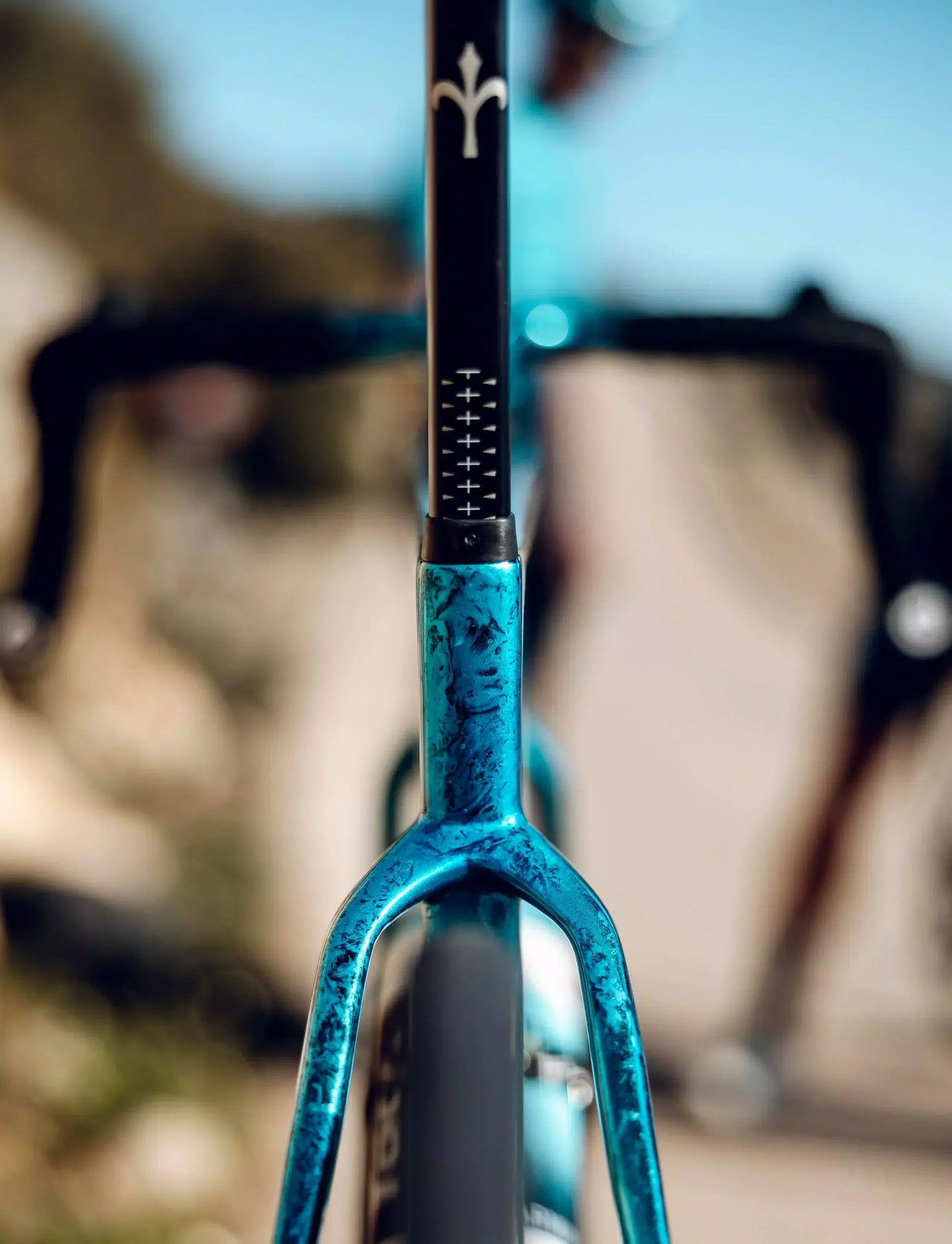 Vilier Triestina bike SLR F16 Shimano Ultegra Di2 R8170 Golden Black