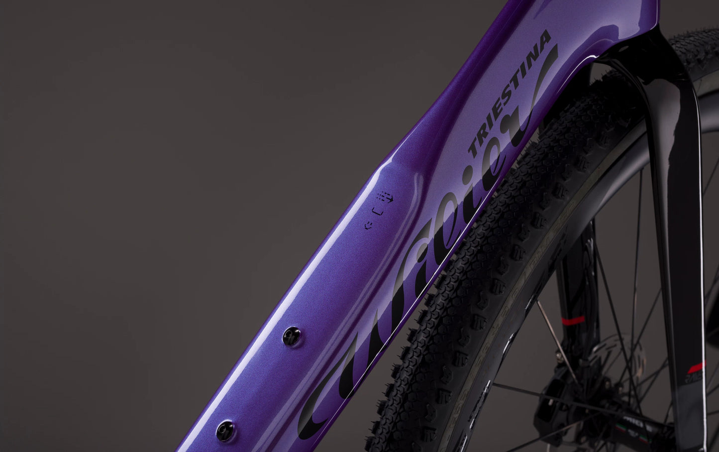 Rave SLR ID2 E628G4G (with carbon F BAR) V12 Neon Purple Glossy SHIMANO GRX Di2 1x12S MICHE AERO GRAFF CARBON 48 mm 2026