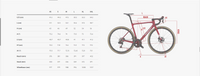 VÉLO WILIER TRIESTINA O SLR  E14 Iride Petroleum   SHIMANO DURA ACE DI2 R9270