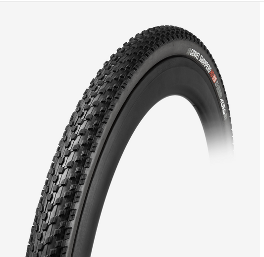 PNEU Gravel Swampero HD   TUBELESS     NOIR -NOIR   2026  WET