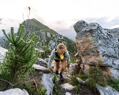 Purée énergétique | Patates douces, courge butternut - 6 purées  2026