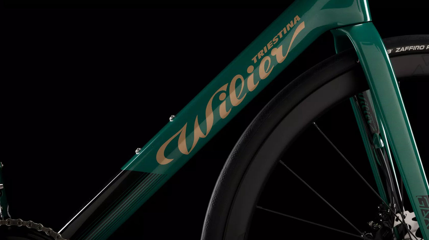 GARDA+STEMMA S2     E5065IX G42 Green Gold Glossy 	SHIMANO 105 Di2 2x12 R7170	MICHE REFLEX DX    2026