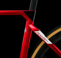 WILIER BIKE FILANTE ULTEGRA DI2 TRIMAX