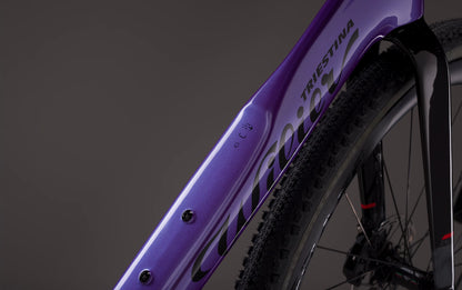 Rave SLR ID2  E628G4G (with carbon F BAR)	  V12 Neon Purple Glossy     SHIMANO GRX Di2 1x12S	MICHE AERO GRAFF CARBON 48 mm  2026