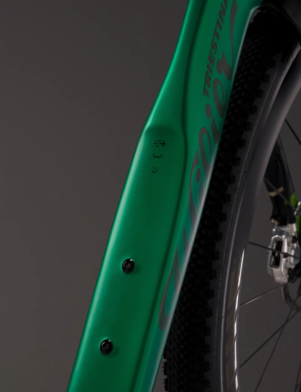 Rave SLR ID2  E628G4G (with carbon F BAR)	  V12 Neon Purple Glossy     SHIMANO GRX Di2 1x12S	MICHE AERO GRAFF CARBON 48 mm  2026